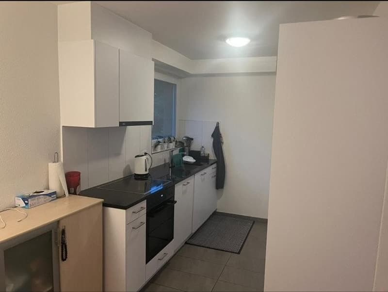 Nachmieter für schöne 2 1/2 Zimmer Wohnung gesucht (5)