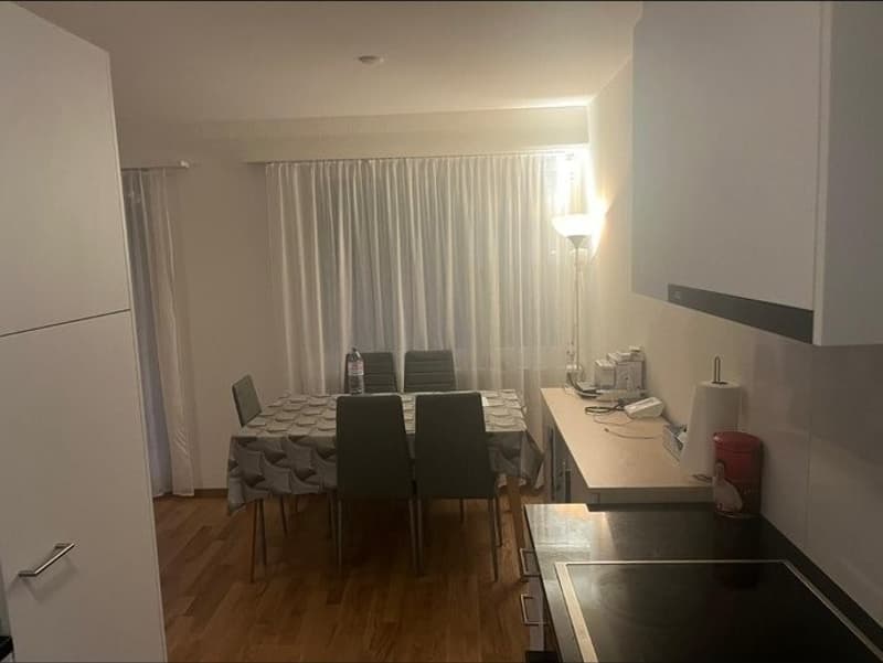 Nachmieter für schöne 2 1/2 Zimmer Wohnung gesucht (1)