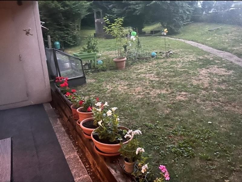 Nachmieter für schöne 2 1/2 Zimmer Wohnung gesucht (3)