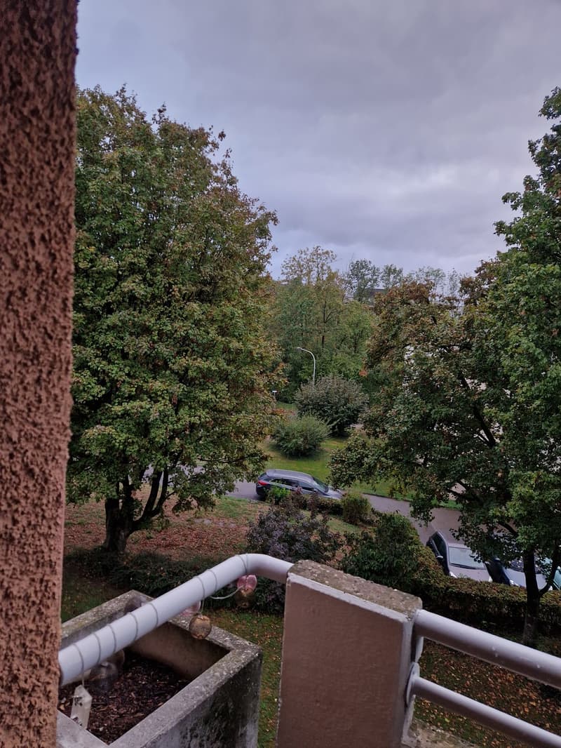 2 Zimmer-Wohnung, 8180 Bülach (7)