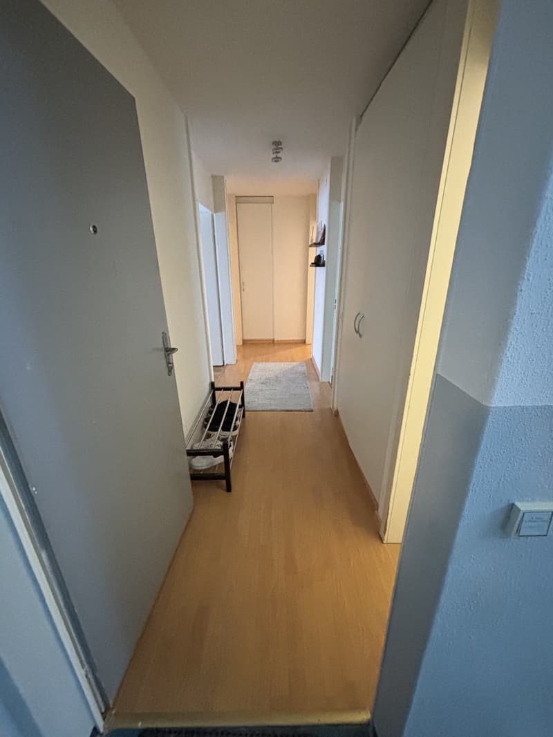 Nachmieter gesucht ab 1. Dezember 2026  3.5-Zimmer-Wohnung in Gebenstorf (5)