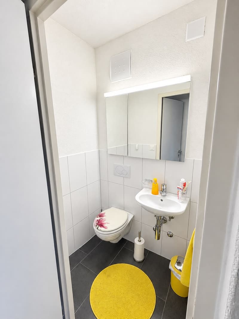 Wohnung mit guter Lage in Greifensee (5)
