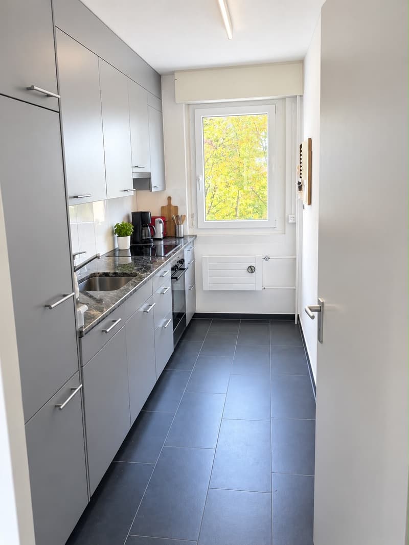 Wohnung mit guter Lage in Greifensee (2)