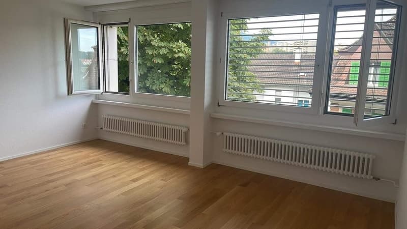 2.5-Room Apartment  Looking for a New Tenant (2)