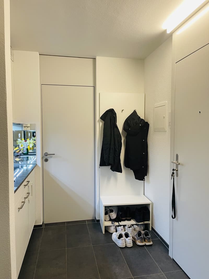 2.5-Room Apartment  Looking for a New Tenant (4)