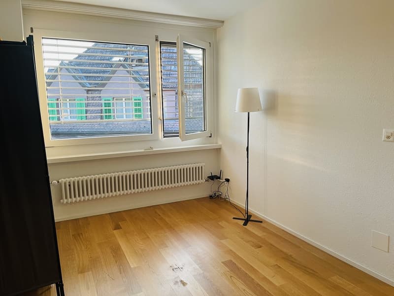 2.5-Room Apartment  Looking for a New Tenant (5)