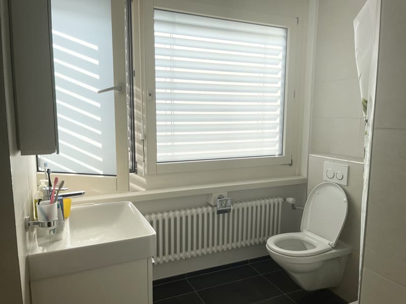 2.5-Room Apartment  Looking for a New Tenant (3)