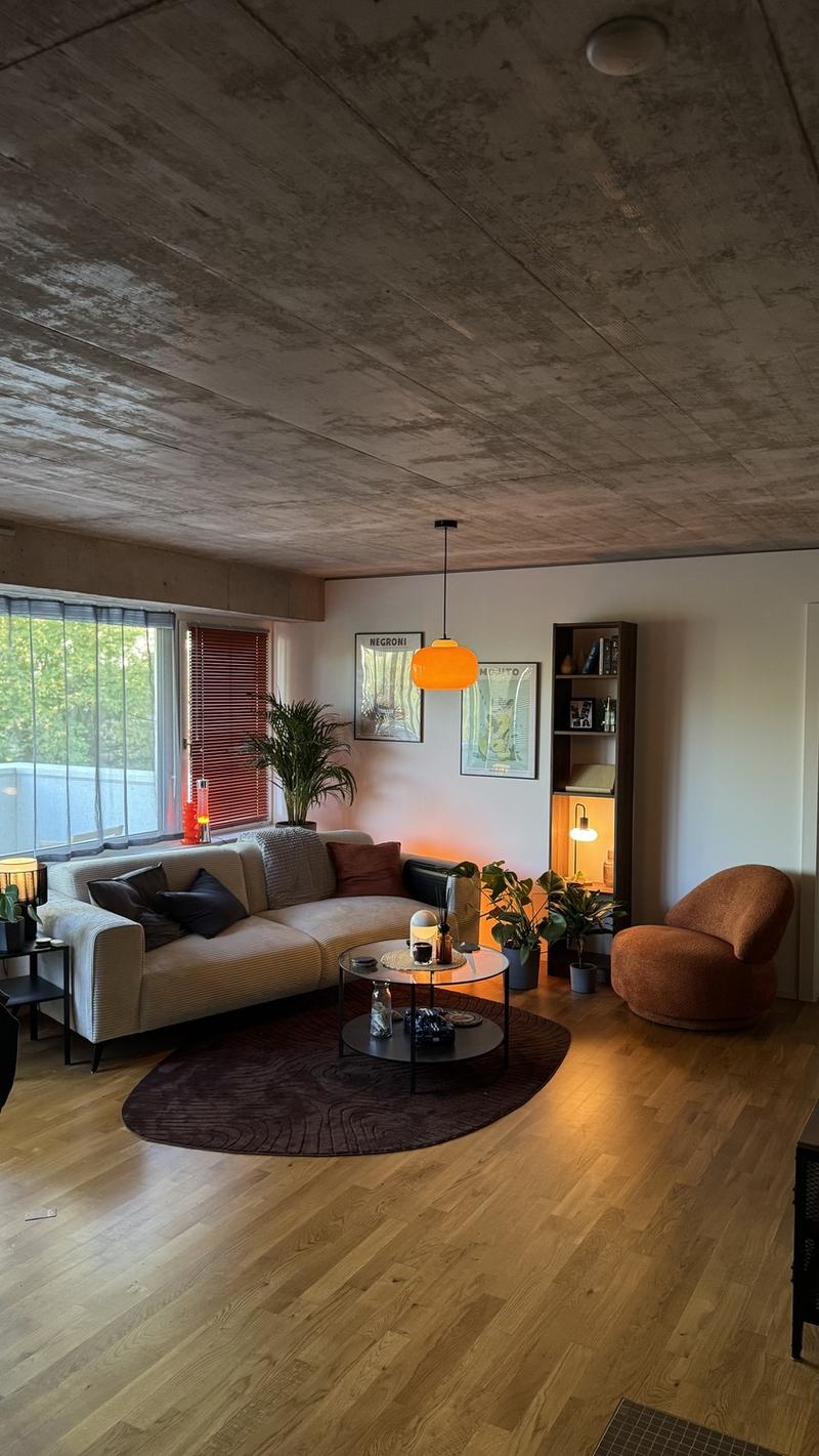 Nachmieter für 2.5 Zimmer Wohnung im Kunzareal Windisch (1)