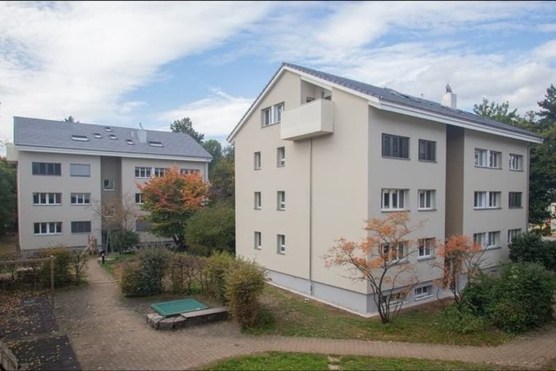 3.5-Zimmer-Wohnung in Münchenstein Nachmieter gesucht (5)