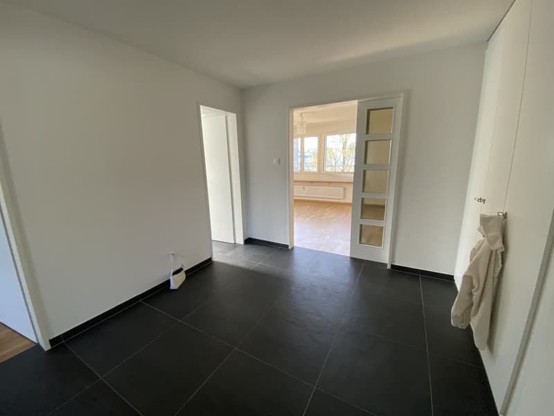 3.5-Zimmer-Wohnung in Münchenstein Nachmieter gesucht (10)
