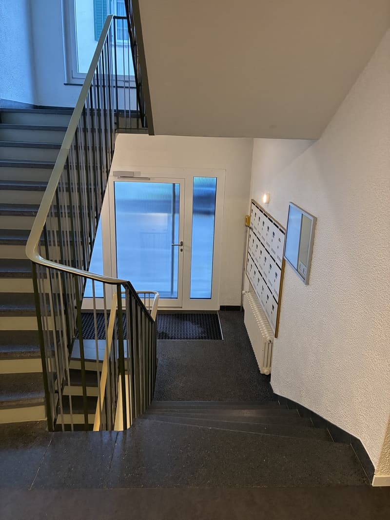 Neu möbliertes Studio - zentral in Kreis 6 (8)