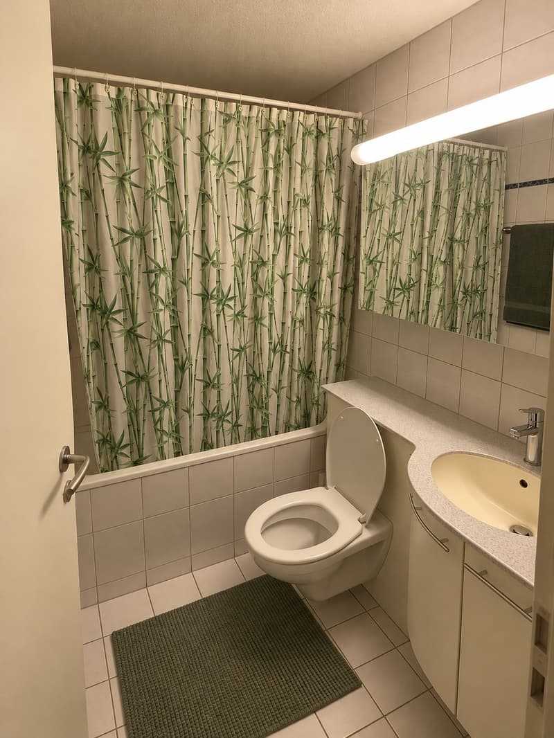 Gemütliche 1.5 Zimmer Whg zur Untermiete (2)