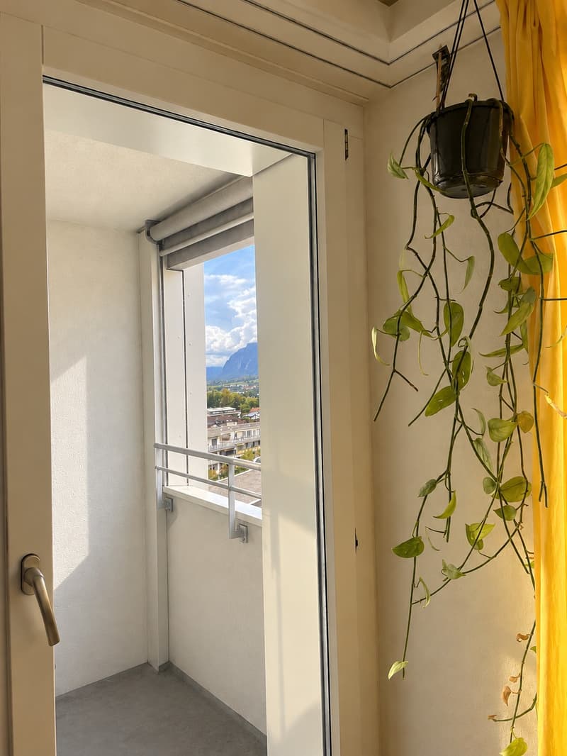 Gemütliche 1.5 Zimmer Whg zur Untermiete (3)