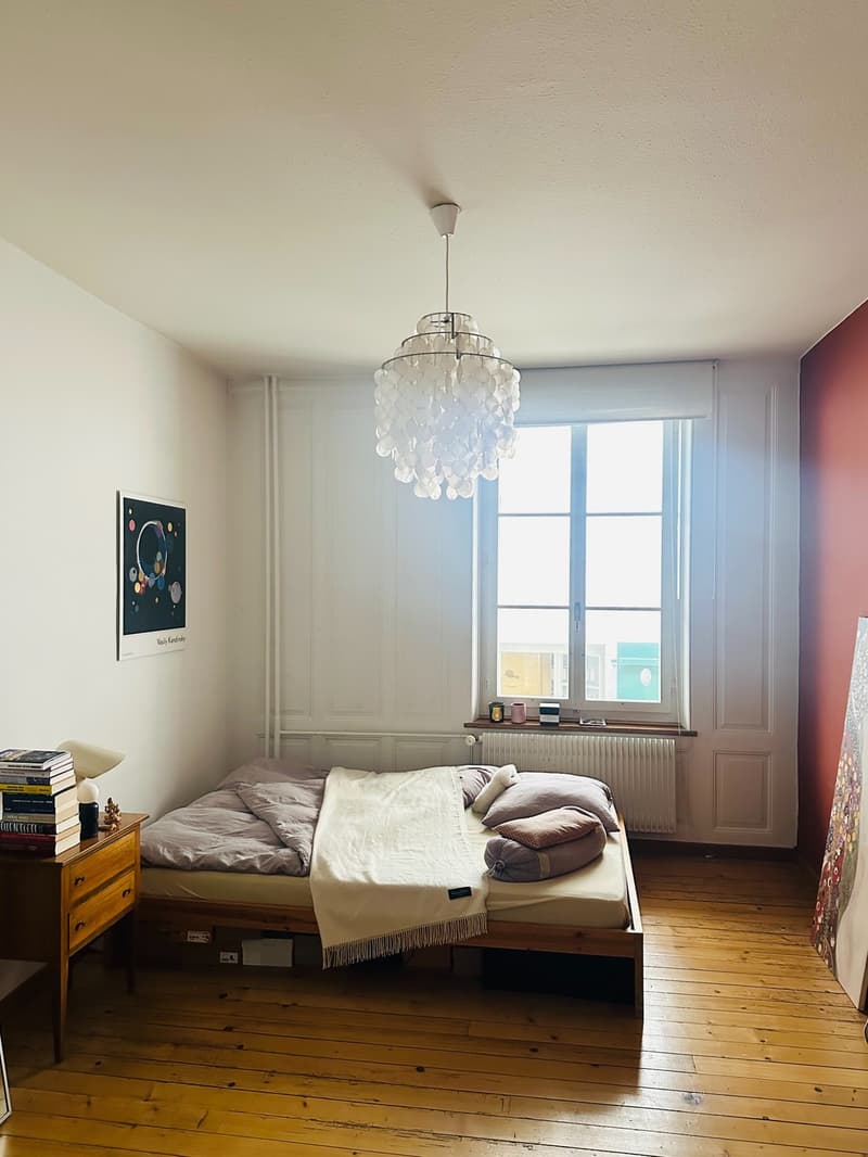 2.5 Zimmer Altstadtbijou (4)
