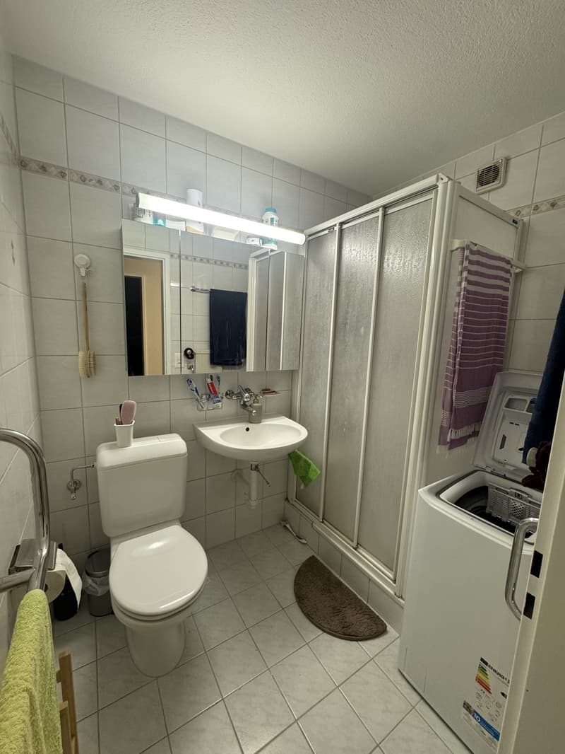 Lease takeover: bright 3.5-room apartment with winter-garden balcony, Opfikon (6)