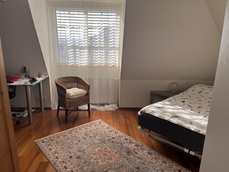 Attraktive 2,5 Zimmer-Dachwohnung (4)