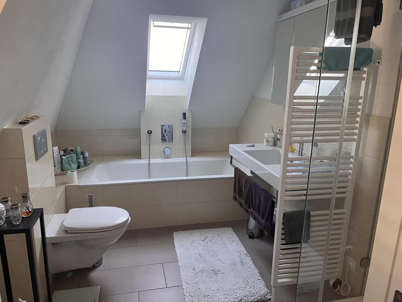 Attraktive 2,5 Zimmer-Dachwohnung (5)