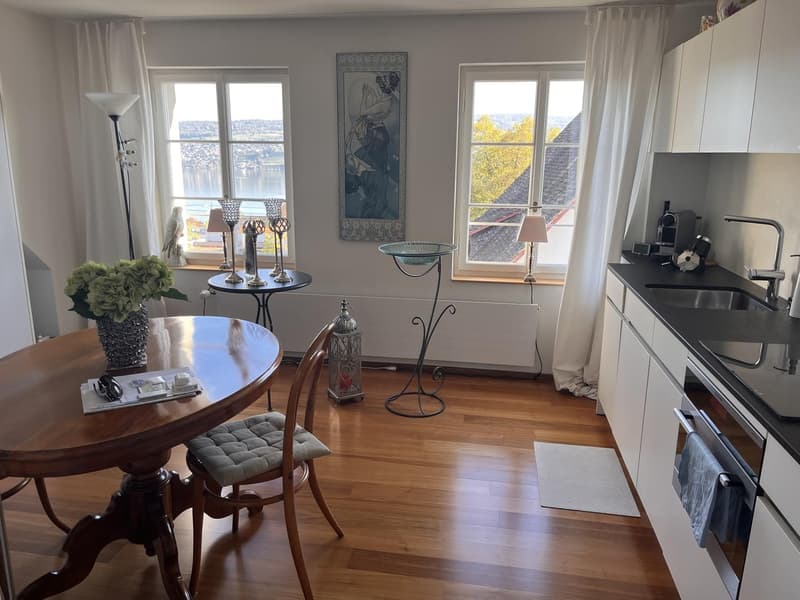 Attraktive 2,5 Zimmer-Dachwohnung (2)