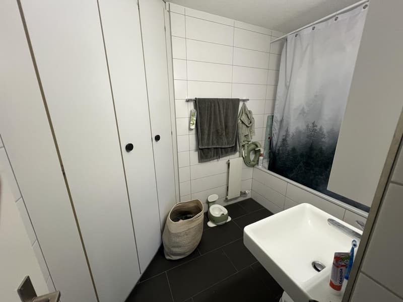 WG-Zimmer in 5.5-Zimmer-Wohnung nahe ETH Hönggerberg (10)