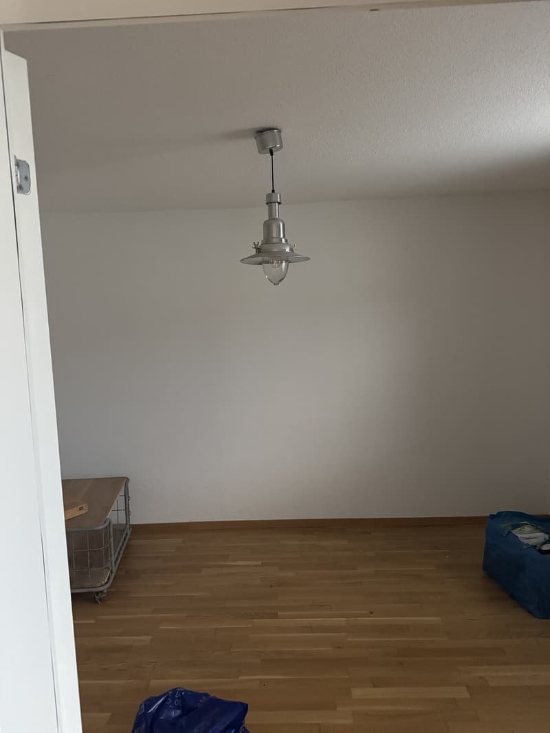WG-Zimmer in 5.5-Zimmer-Wohnung nahe ETH Hönggerberg (7)