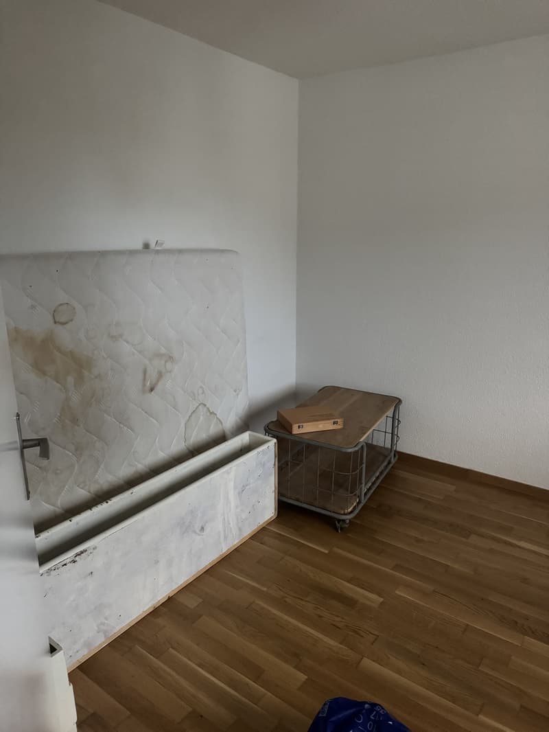 WG-Zimmer in 5.5-Zimmer-Wohnung nahe ETH Hönggerberg (3)