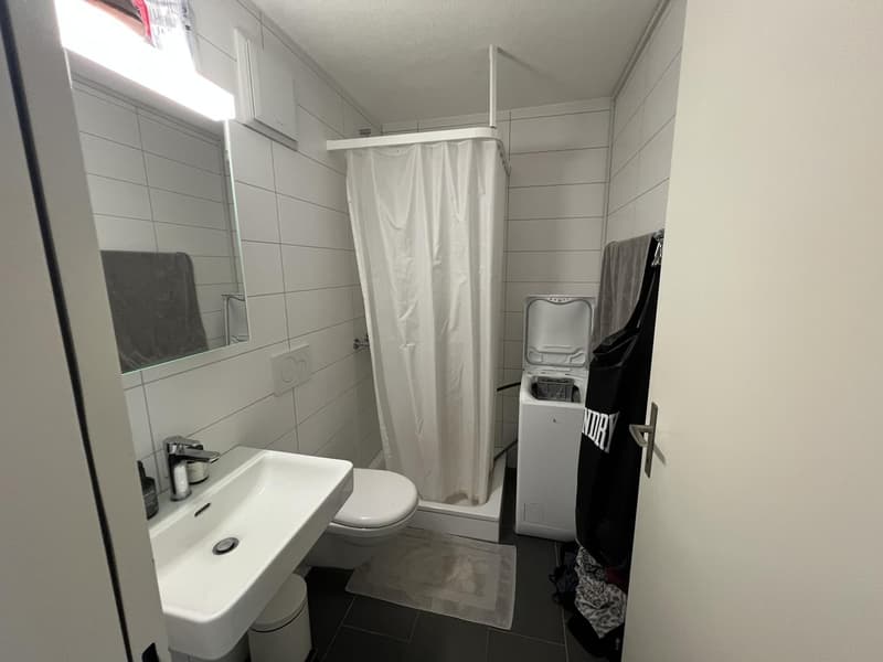 WG-Zimmer in 5.5-Zimmer-Wohnung nahe ETH Hönggerberg (9)