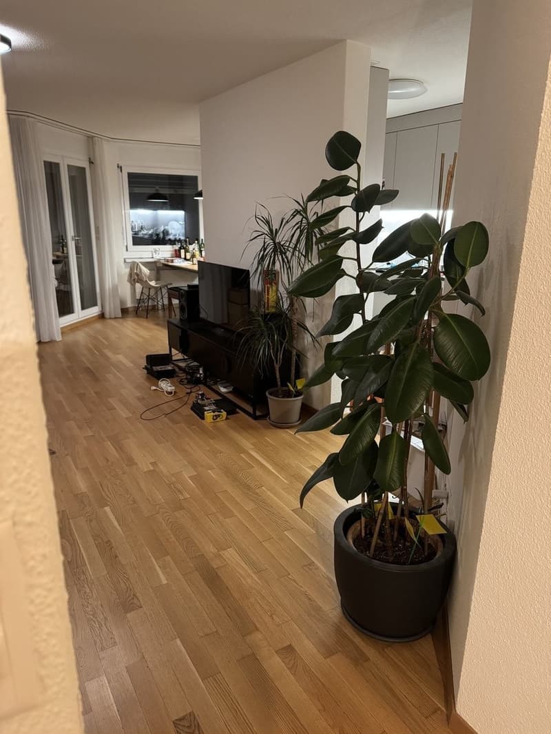WG-Zimmer in 5.5-Zimmer-Wohnung nahe ETH Hönggerberg (1)