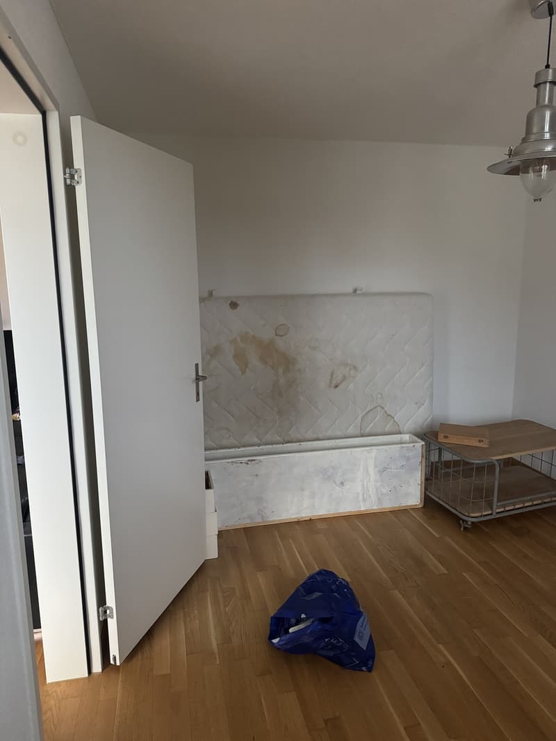WG-Zimmer in 5.5-Zimmer-Wohnung nahe ETH Hönggerberg (4)