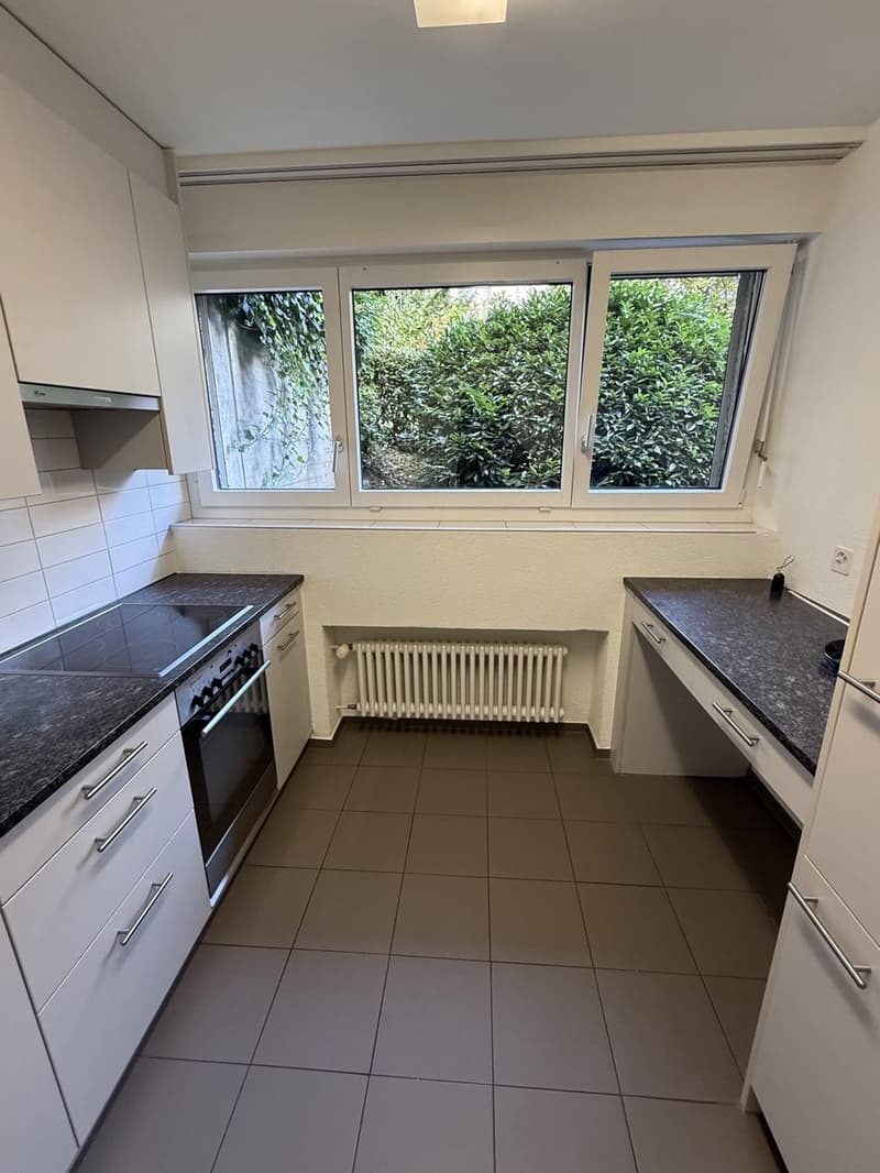 Apartment in Zurich Wollishofen (Kreis 2) (5)