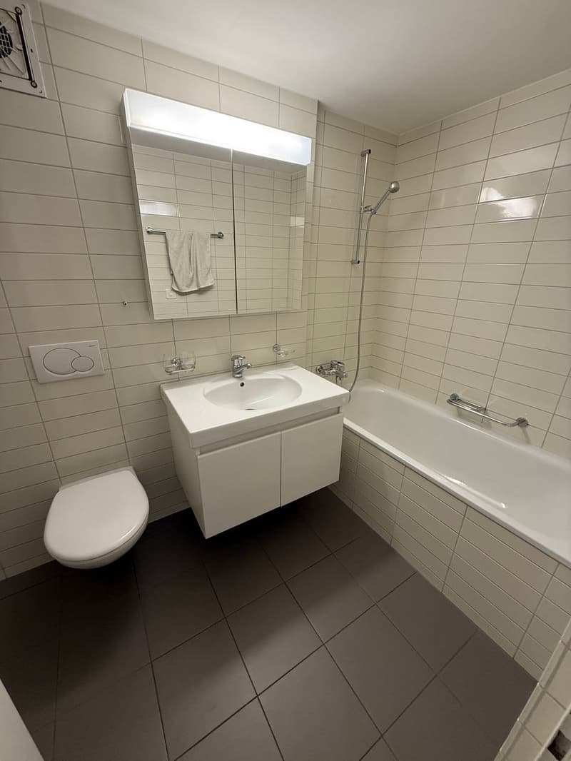 Apartment in Zurich Wollishofen (Kreis 2) (3)