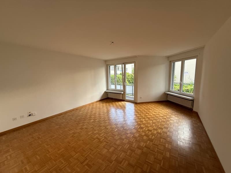 Apartment in Zurich Wollishofen (Kreis 2) (2)