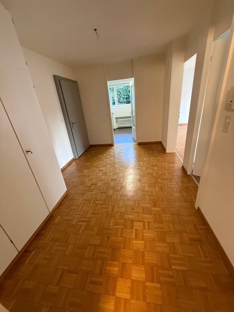 Apartment in Zurich Wollishofen (Kreis 2) (4)