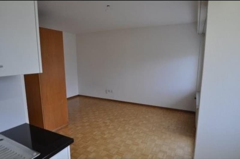 Gemütliches Studio mit privater Terrasse in Nussbaumen AG Nachmieter/in gesucht (1)