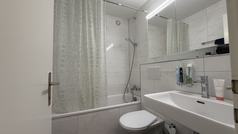 Bright 2 Room Top-Floor Apartment with Balcony in Dübendorf (9)