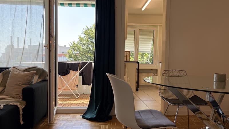 Bright 2 Room Top-Floor Apartment with Balcony in Dübendorf (6)