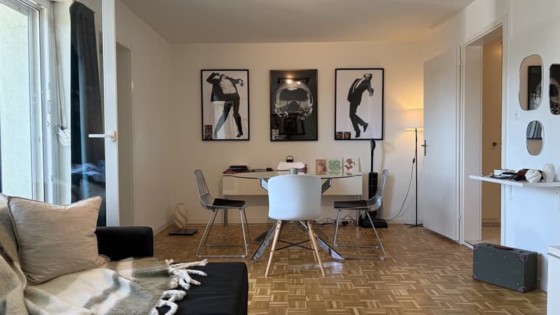 Bright 2 Room Top-Floor Apartment with Balcony in Dübendorf (4)