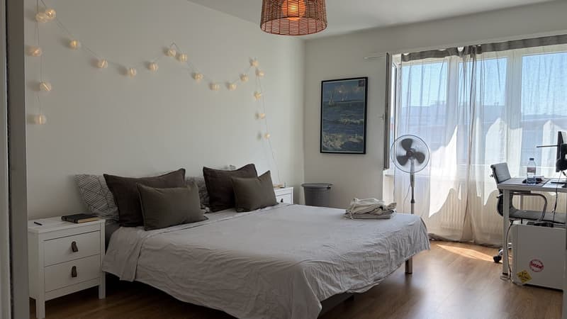 Bright 2 Room Top-Floor Apartment with Balcony in Dübendorf (1)