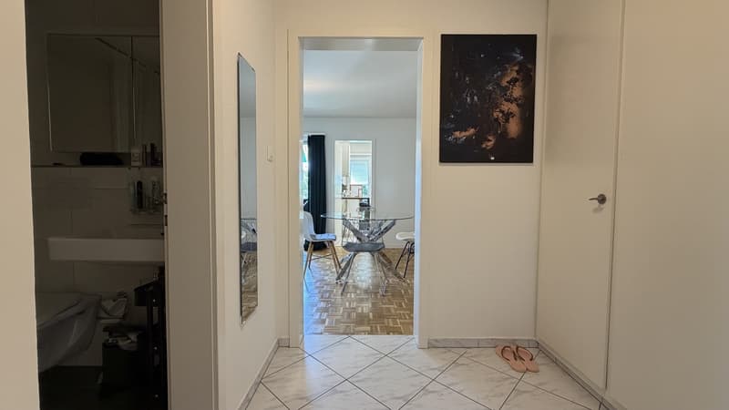 Bright 2 Room Top-Floor Apartment with Balcony in Dübendorf (3)