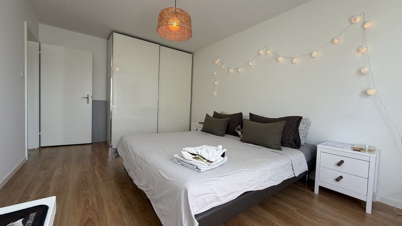 Bright 2 Room Top-Floor Apartment with Balcony in Dübendorf (2)