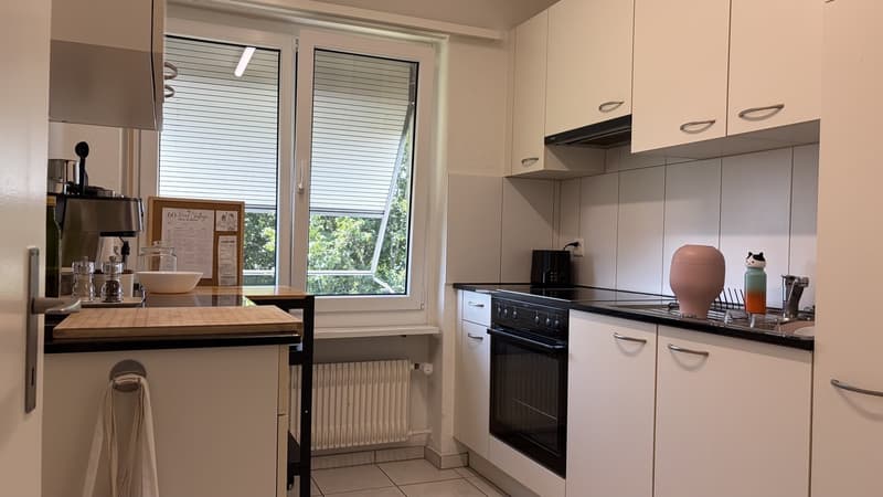 Bright 2 Room Top-Floor Apartment with Balcony in Dübendorf (8)