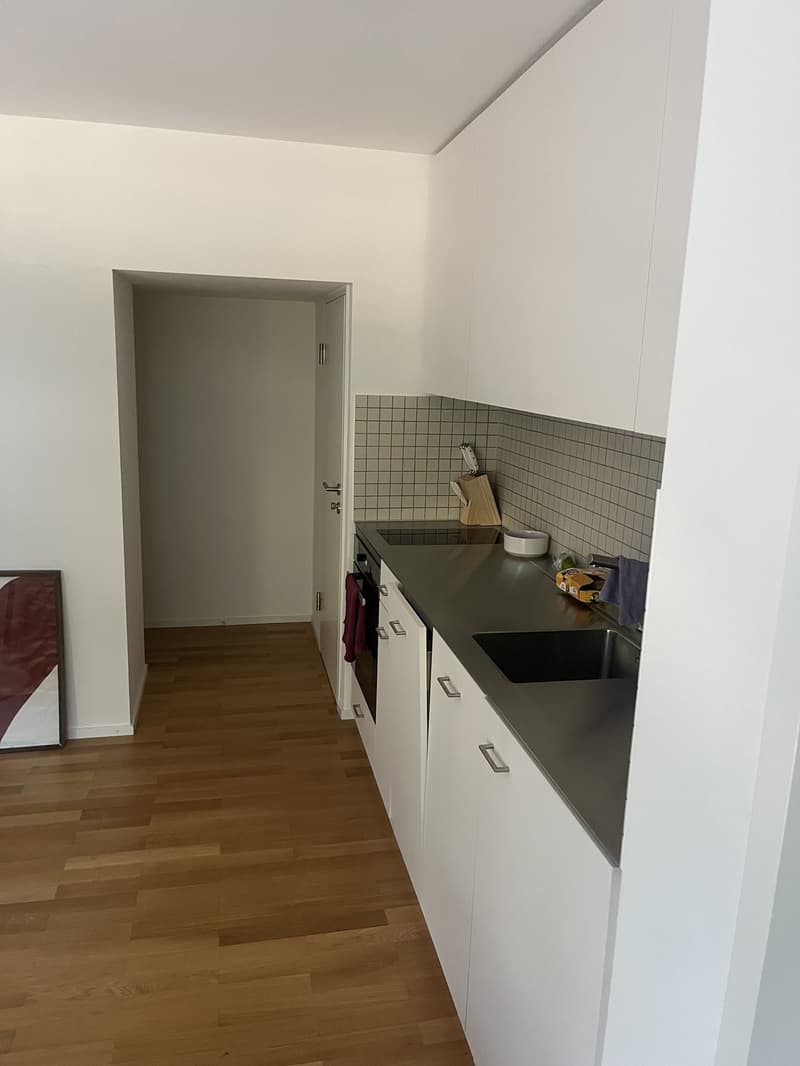 1 ½ rooms apartment, 1700 Fribourg (5)