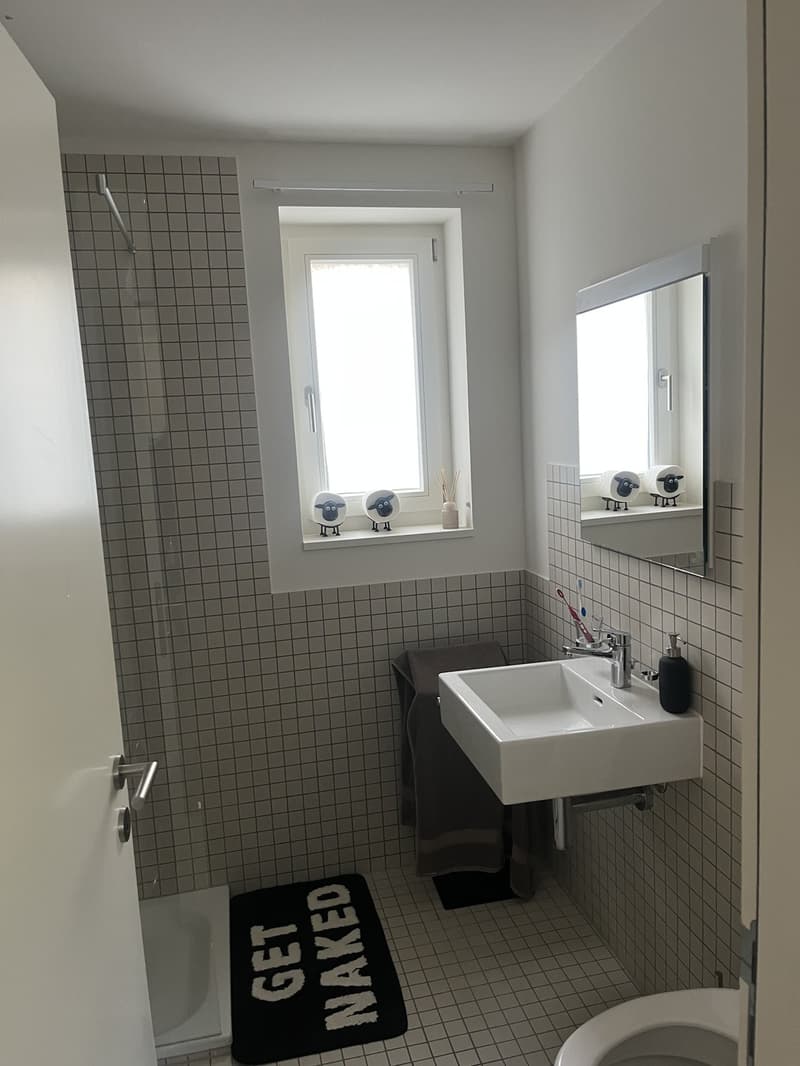 1 ½ rooms apartment, 1700 Fribourg (6)
