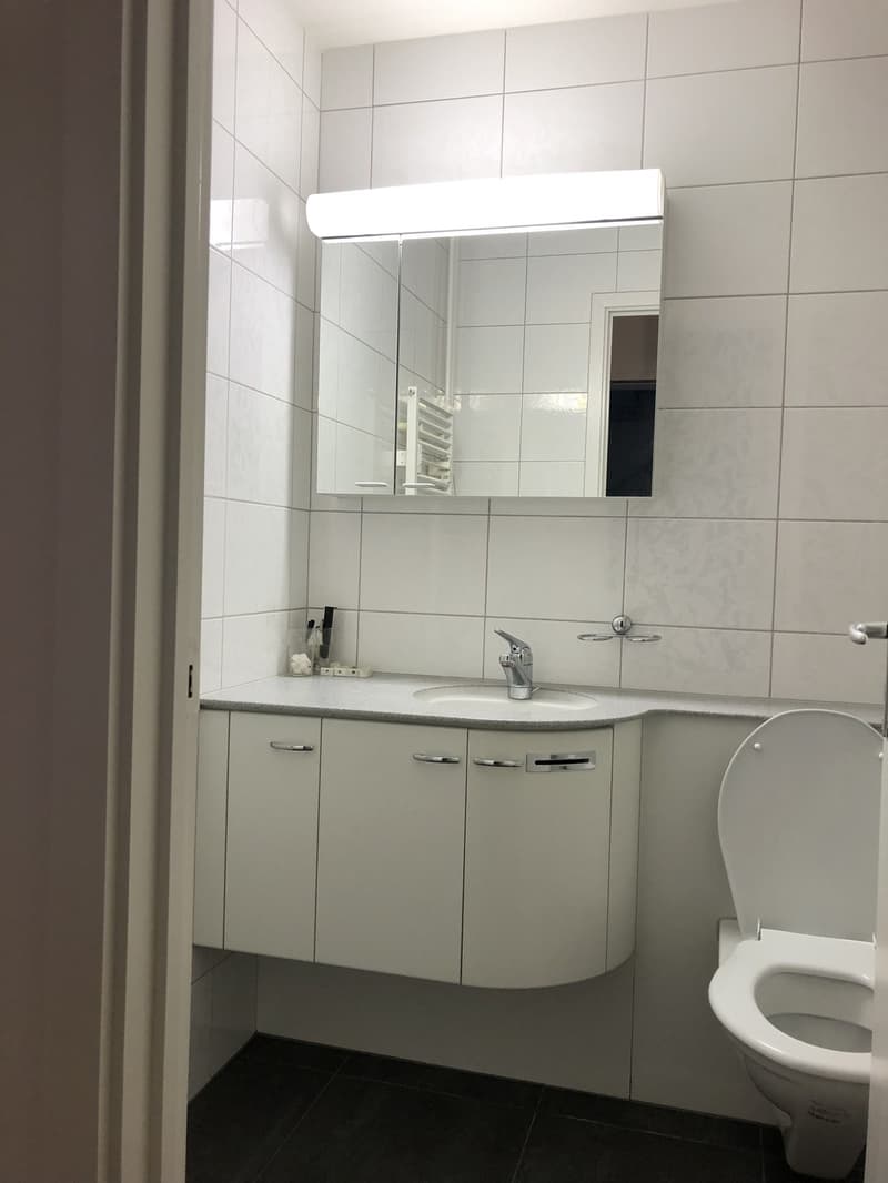 Nachmieter per 1.11. gesucht (8)