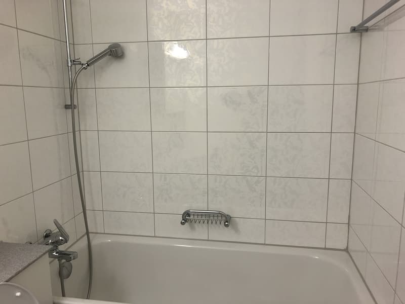 Nachmieter per 1.11. gesucht (9)
