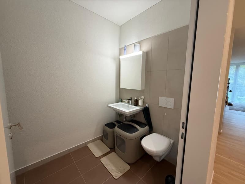 2.5 Zimmer Wohnung in AU mit Aussicht auf den Zürichsee (7)