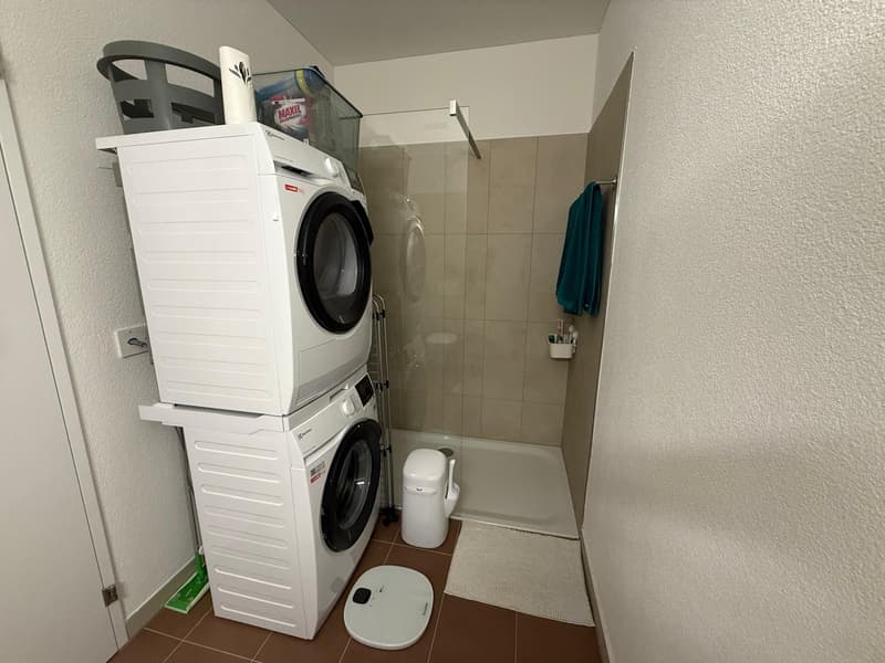 2.5 Zimmer Wohnung in AU mit Aussicht auf den Zürichsee (8)