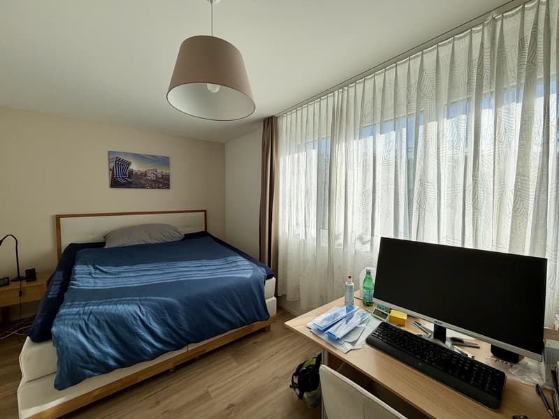 Moderne 4.5-Zimmer-Wohnung mit Gartensitzplatz, Waschturm & Üetlibergblick an ruhiger Lage in 8102 Oberengstringen (10)