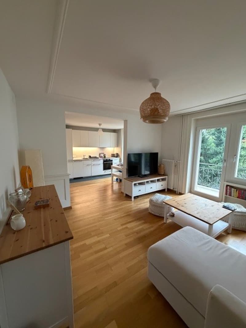 2 ½ rooms apartment, 8002 Zurich (1)