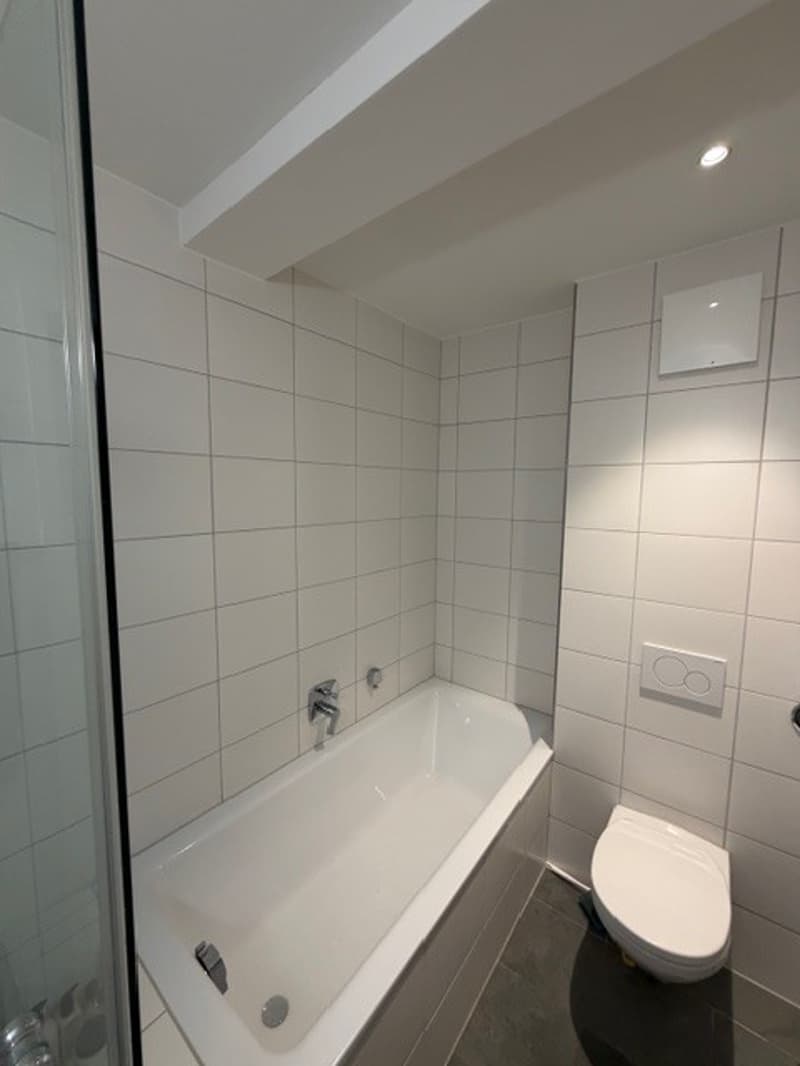 2 ½ rooms apartment, 8002 Zurich (9)