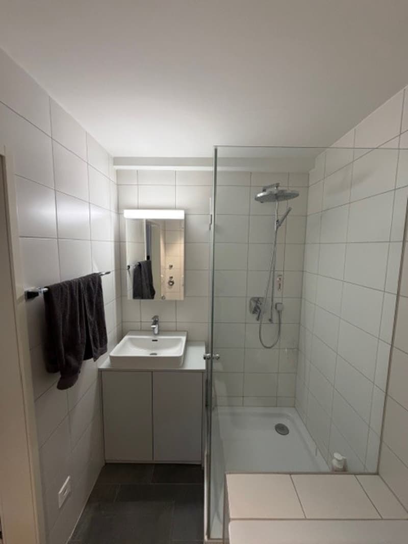 2 ½ rooms apartment, 8002 Zurich (8)